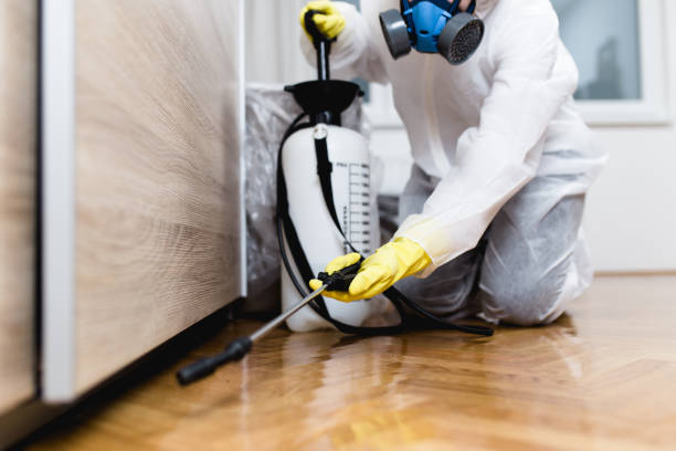 Best Pest Control Treatment  in Brookridge, FL