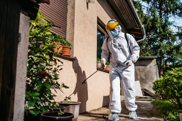 Best Spider Control Near Me  in Brookridge, FL