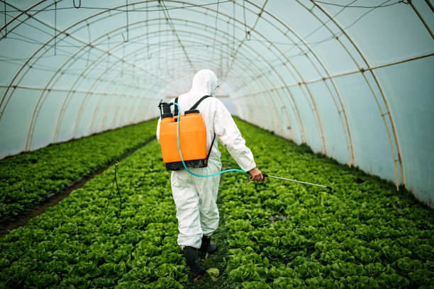Best Mosquito Control Services  in Brookridge, FL