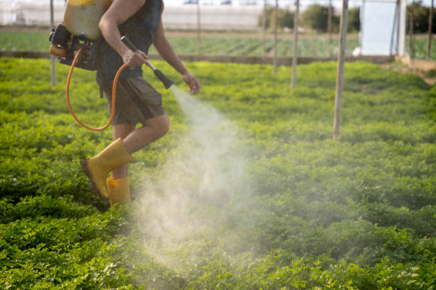 Best Pest Prevention Services  in Brookridge, FL