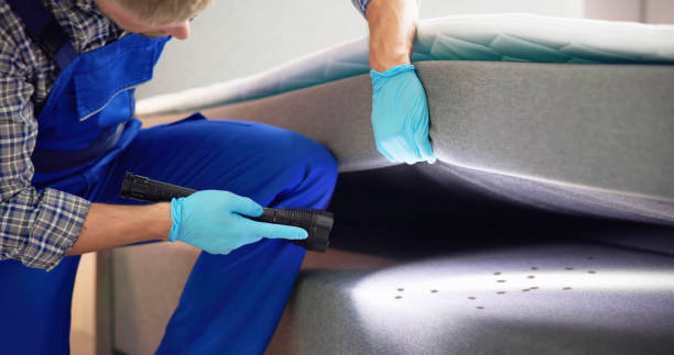 Best Emergency Pest Control  in Brookridge, FL