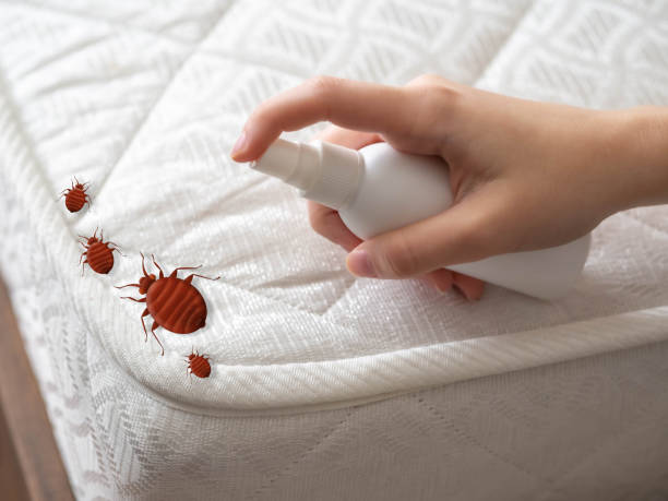 Best Pest Control for Businesses  in Brookridge, FL